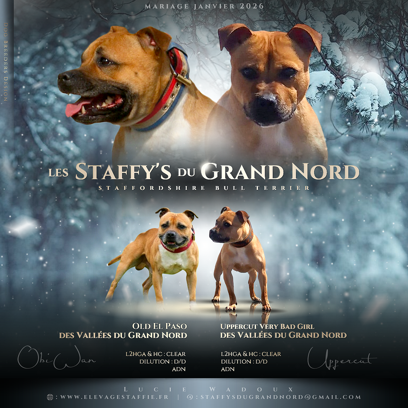 Mariage du Réveillon 2026 - places disponibles