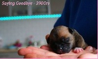 Saying Goodbye